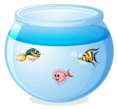 Freshwater & Saltwater Fishes